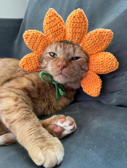 CROCHET PATTERN - Flower Cat Hat Crochet Pattern, Sunflower Pet Hat Crochet Pattern